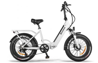 Best Budget Folding Electric Bike 750W