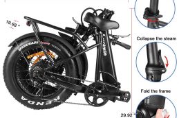Best Budget Folding Electric Bike 750W