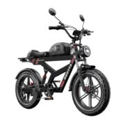 DUOTTS F20 Electric Bike