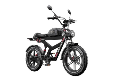 DUOTTS F20 Electric Bike