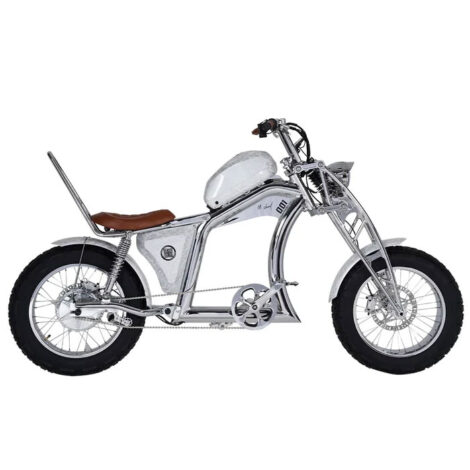 Mangosteen-Chopper-eBIKE2